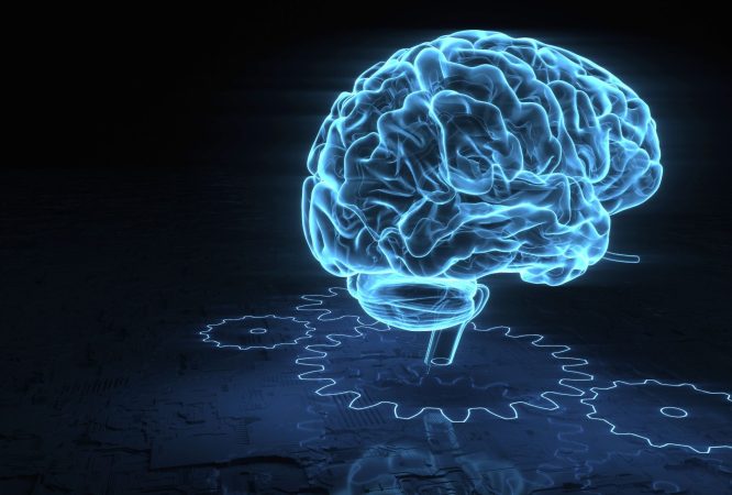 NEUROMARKETING BASIC - SIFECO - Corsi di Neuromarketing e Comunicazione