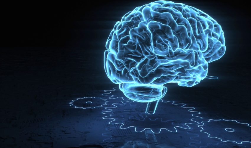 NEUROMARKETING BASIC - SIFECO - Corsi di Neuromarketing e Comunicazione